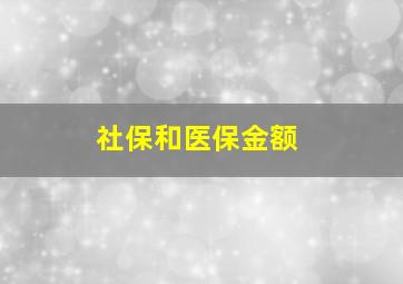 社保和医保金额