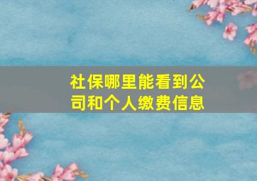 社保哪里能看到公司和个人缴费信息