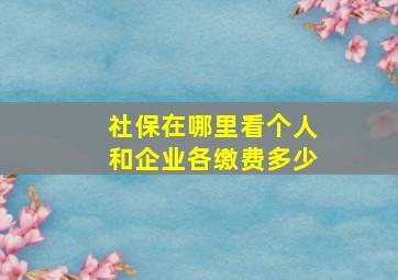 社保在哪里看个人和企业各缴费多少