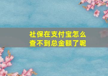 社保在支付宝怎么查不到总金额了呢