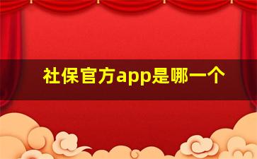 社保官方app是哪一个