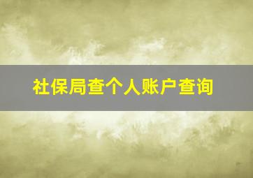 社保局查个人账户查询