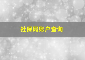 社保局账户查询