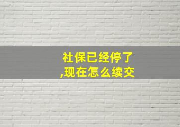 社保已经停了,现在怎么续交