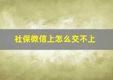 社保微信上怎么交不上