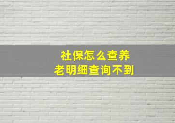 社保怎么查养老明细查询不到