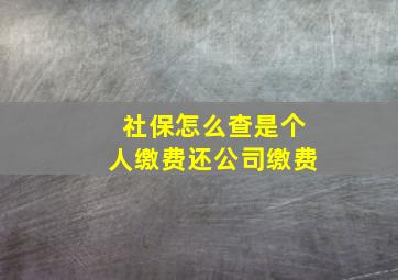 社保怎么查是个人缴费还公司缴费