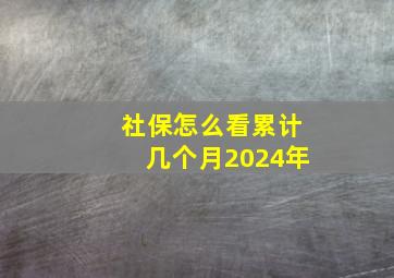 社保怎么看累计几个月2024年