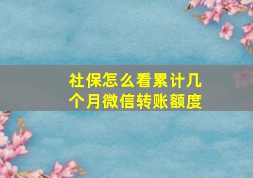 社保怎么看累计几个月微信转账额度