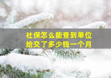 社保怎么能查到单位给交了多少钱一个月