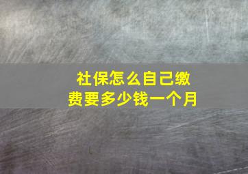 社保怎么自己缴费要多少钱一个月