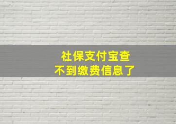 社保支付宝查不到缴费信息了