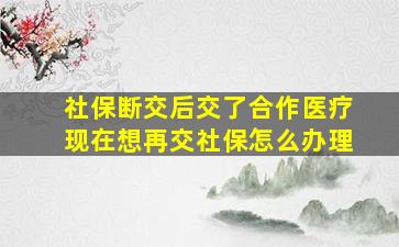 社保断交后交了合作医疗现在想再交社保怎么办理