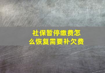 社保暂停缴费怎么恢复需要补欠费