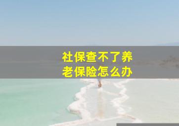 社保查不了养老保险怎么办