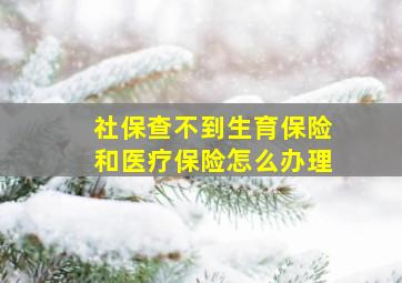 社保查不到生育保险和医疗保险怎么办理