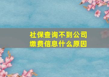 社保查询不到公司缴费信息什么原因