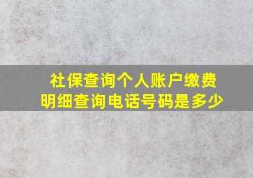 社保查询个人账户缴费明细查询电话号码是多少