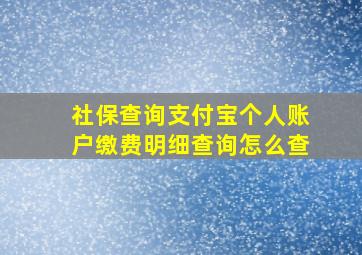 社保查询支付宝个人账户缴费明细查询怎么查