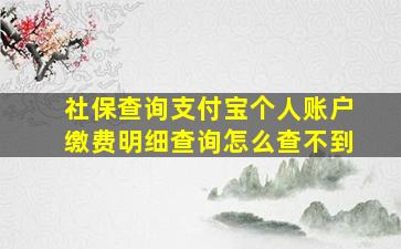 社保查询支付宝个人账户缴费明细查询怎么查不到