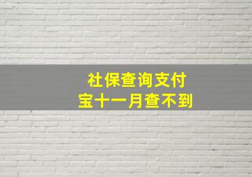 社保查询支付宝十一月查不到