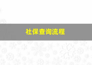 社保查询流程