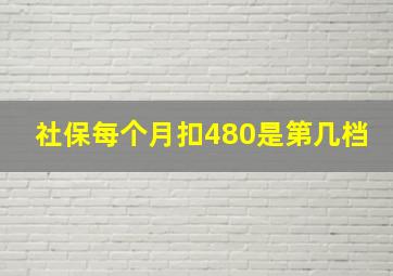 社保每个月扣480是第几档