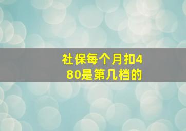 社保每个月扣480是第几档的