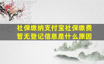 社保缴纳支付宝社保缴费暂无登记信息是什么原因