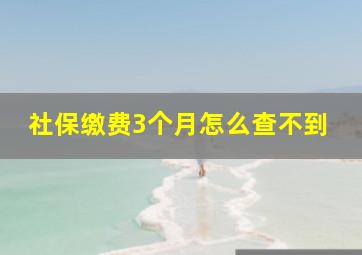 社保缴费3个月怎么查不到