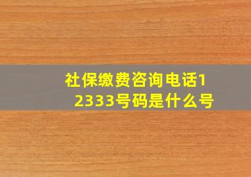 社保缴费咨询电话12333号码是什么号