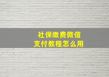 社保缴费微信支付教程怎么用