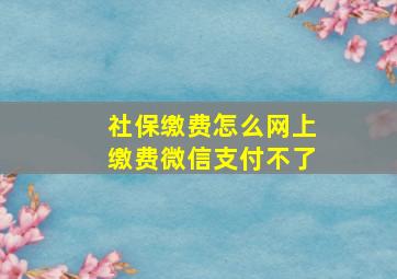 社保缴费怎么网上缴费微信支付不了