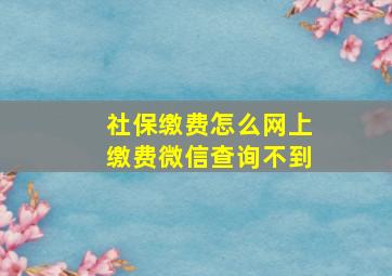 社保缴费怎么网上缴费微信查询不到