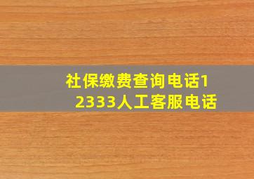 社保缴费查询电话12333人工客服电话