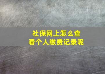 社保网上怎么查看个人缴费记录呢