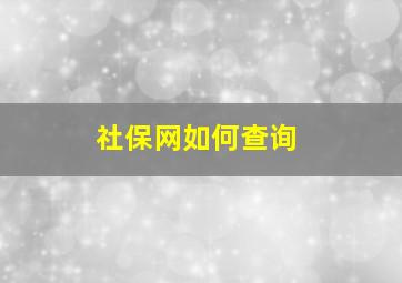 社保网如何查询