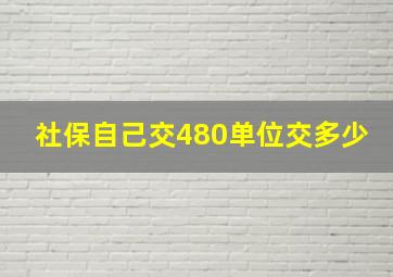 社保自己交480单位交多少