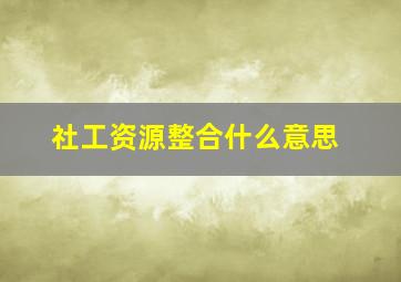 社工资源整合什么意思