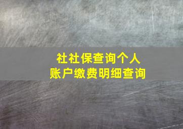 社社保查询个人账户缴费明细查询