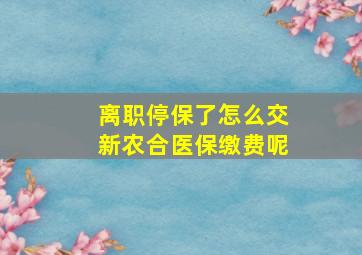 离职停保了怎么交新农合医保缴费呢