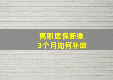 离职医保断缴3个月如何补缴