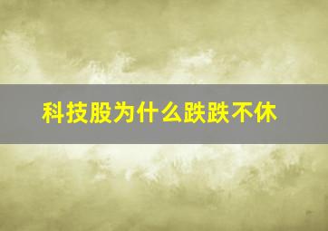 科技股为什么跌跌不休