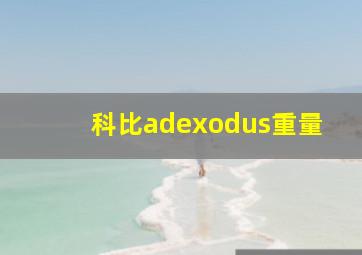 科比adexodus重量