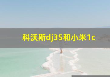 科沃斯dj35和小米1c