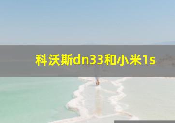 科沃斯dn33和小米1s