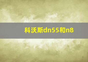 科沃斯dn55和n8