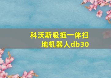 科沃斯吸拖一体扫地机器人db30