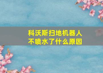 科沃斯扫地机器人不喷水了什么原因