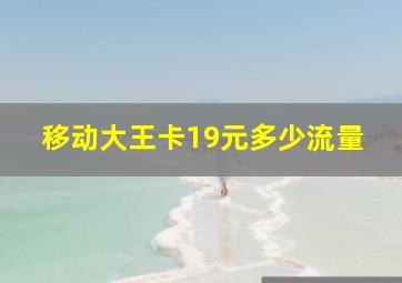 移动大王卡19元多少流量